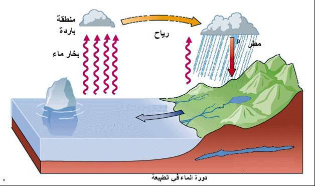 ثلاث تتم هي دورة في الماء فيزيائية بتتابع عمليات الطبيعة من خلال